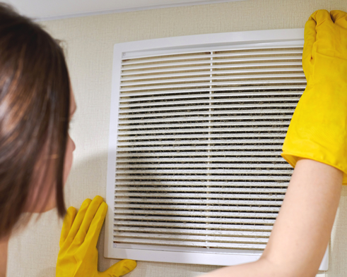  What are the warning signs of mould in ducts?